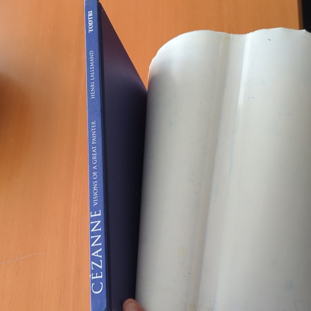 3/$20 - Cezanne: Visions of a Great Painter Book - Hardcover Copyright 1994 - Picture 11 of 11